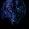 Dark Wolf