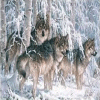 Snow Wolves